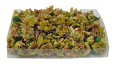 Daisy Flower-Pistachio Green with hints of Pink