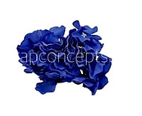 Moroccan Blue Hydrangeas