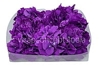 Hydrangeas - Deep Purple