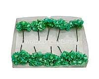 Cyan Aubrieta Flower