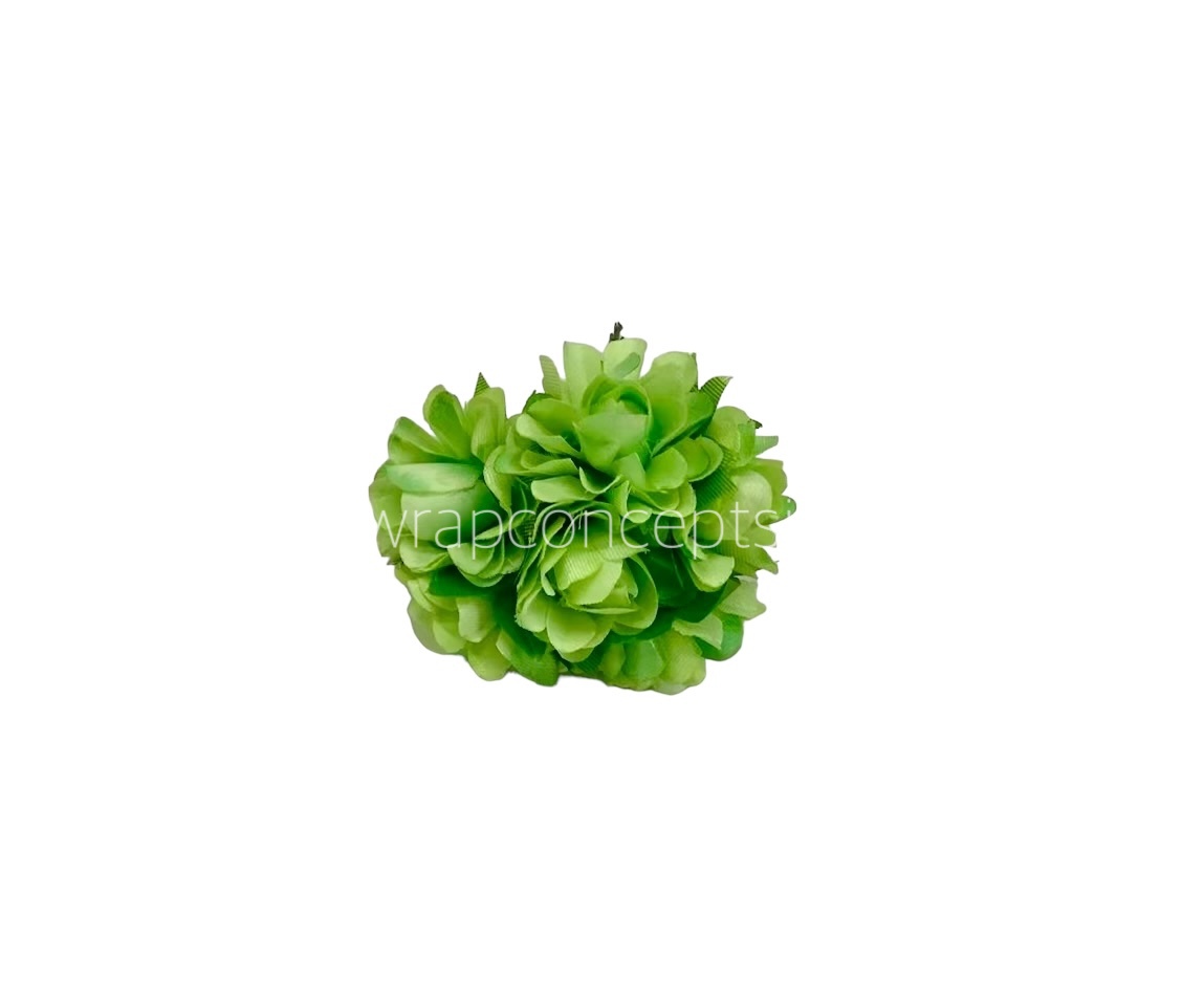 Lime Aubrieta Flower