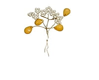 Ochre Pearl Flower Add-on Stick