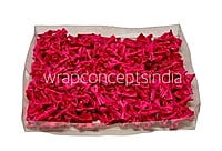 Fuchsia Pink Bows With Anchor