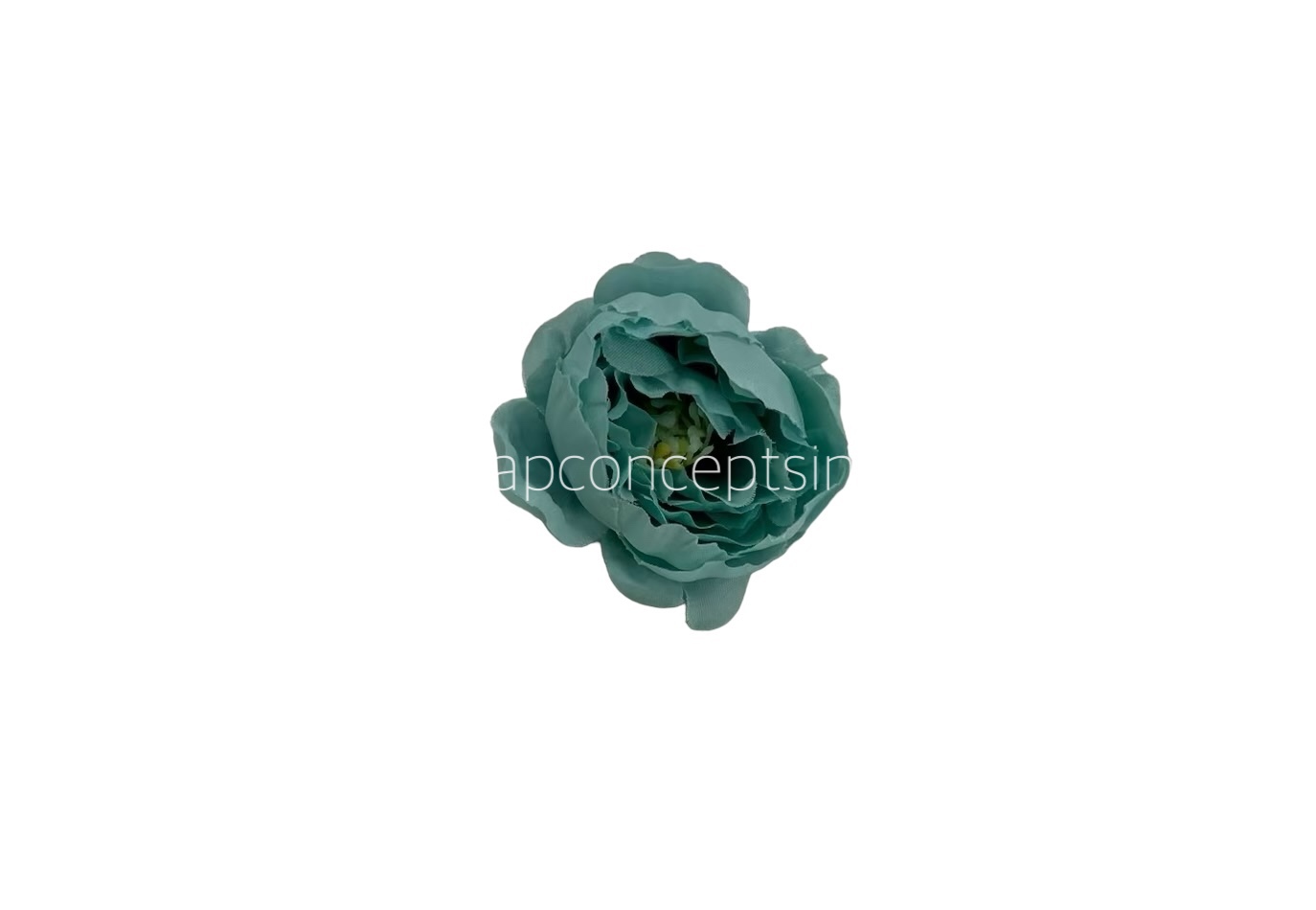 Aqua Blue Peonies