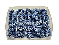 Cobalt Blue Water Lily