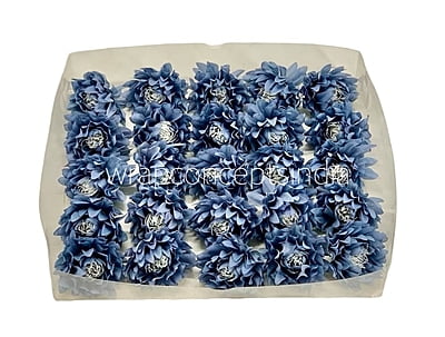 Cobalt Blue Water Lily