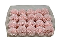 Carnation - Baby Pink