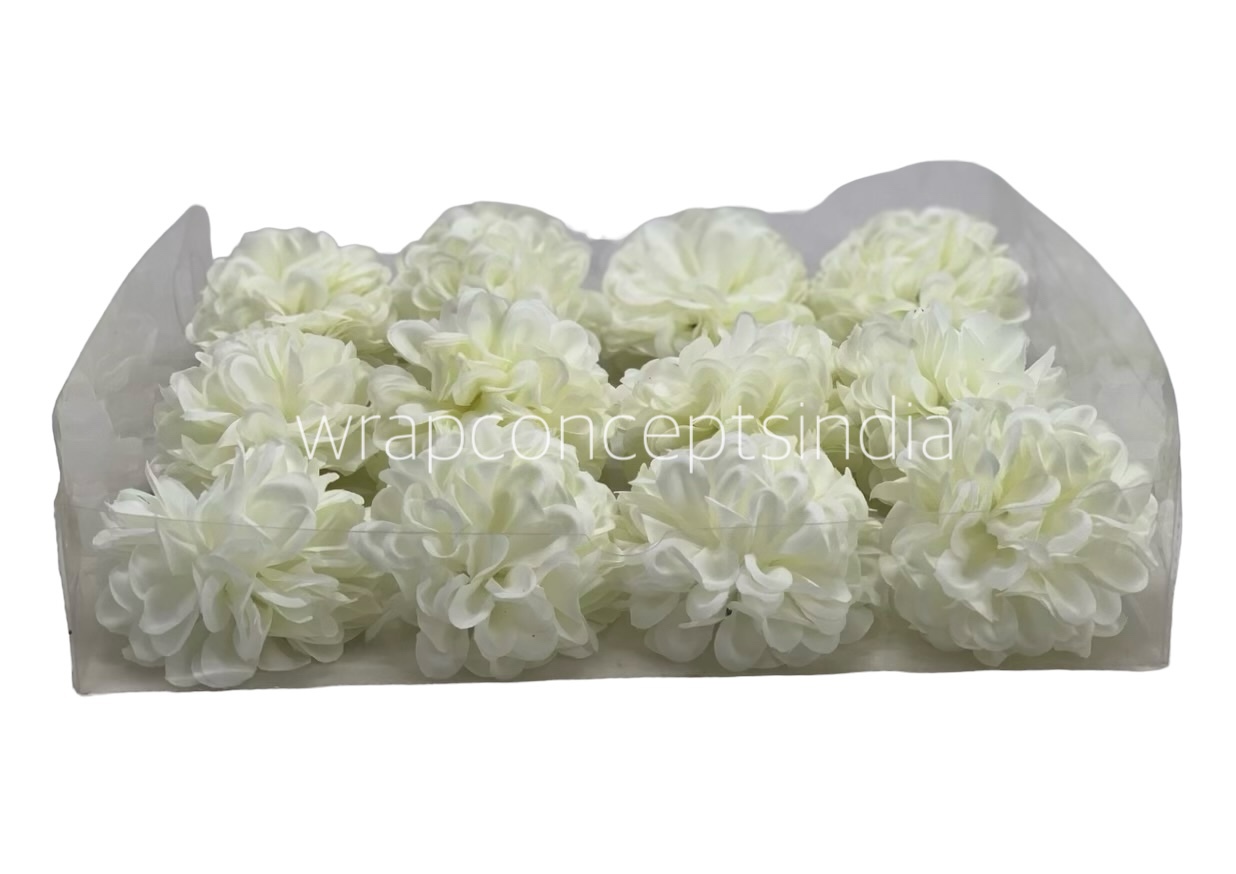 Ivory Carnation