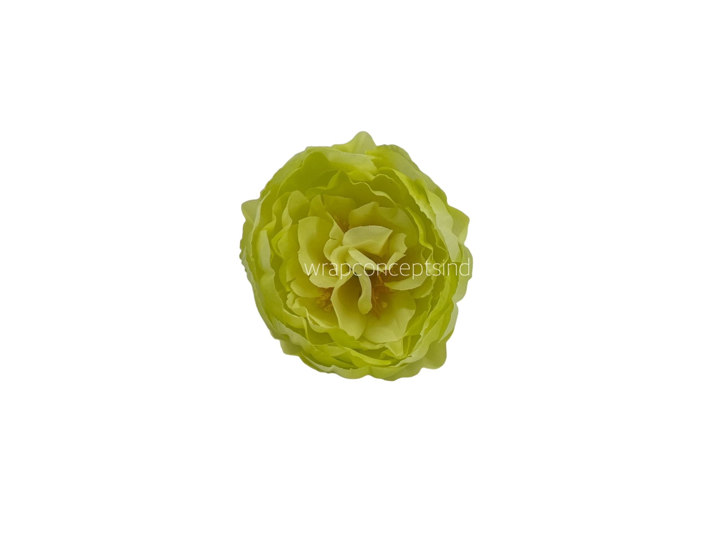 Lime Peony