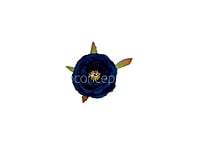 Navy Blue Camellia Flower