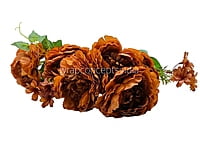 Big Peony Tall Bunch