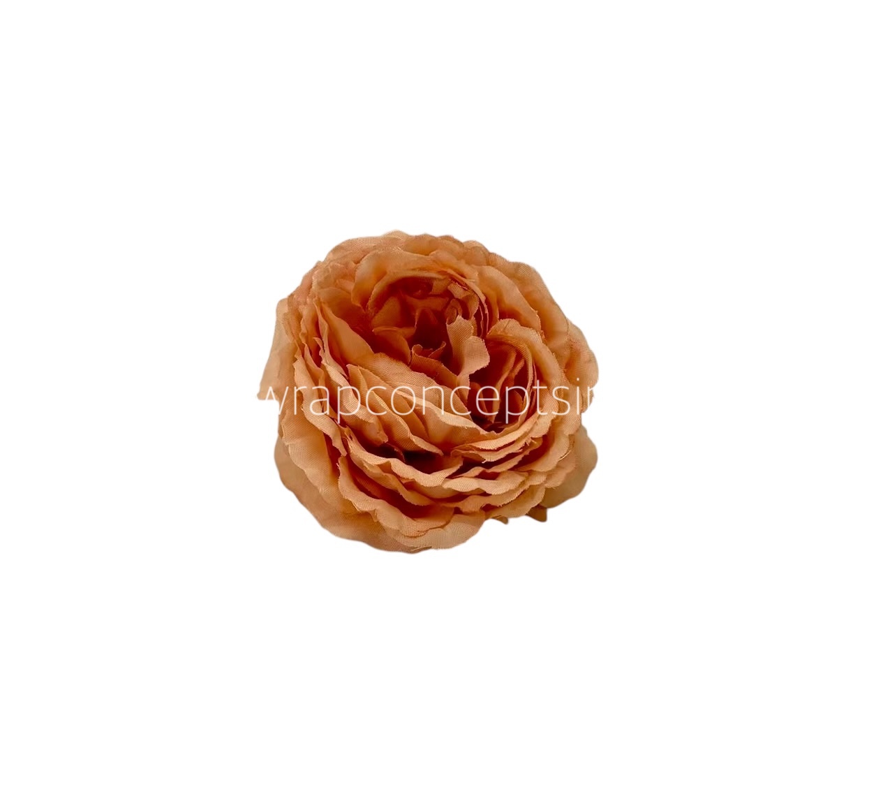 Small Ornate Peony-Blush