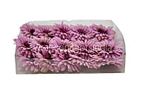 Dusky Mauve Gerbera Daisy