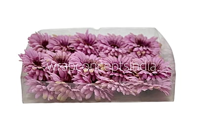 Dusky Mauve Gerbera Daisy