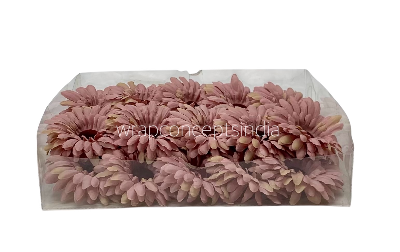 Blush Sunflower