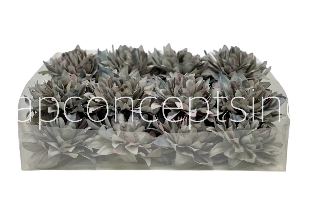 Pastel Grey Dahlia Flower