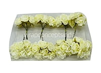 Cream Small Roses