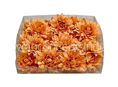 Pumpkin Dahlia Flower