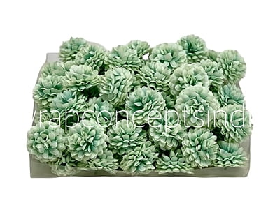 Small Carnation - Pistachio