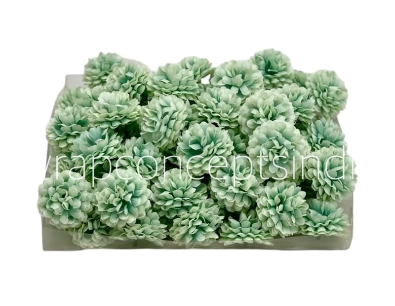 Small Carnation - Pistachio