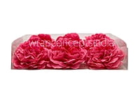 Fuchsia  Moutan Peony