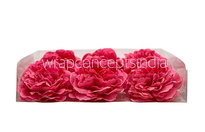 Fuchsia  Moutan Peony