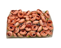 Royal Orange  Peonies