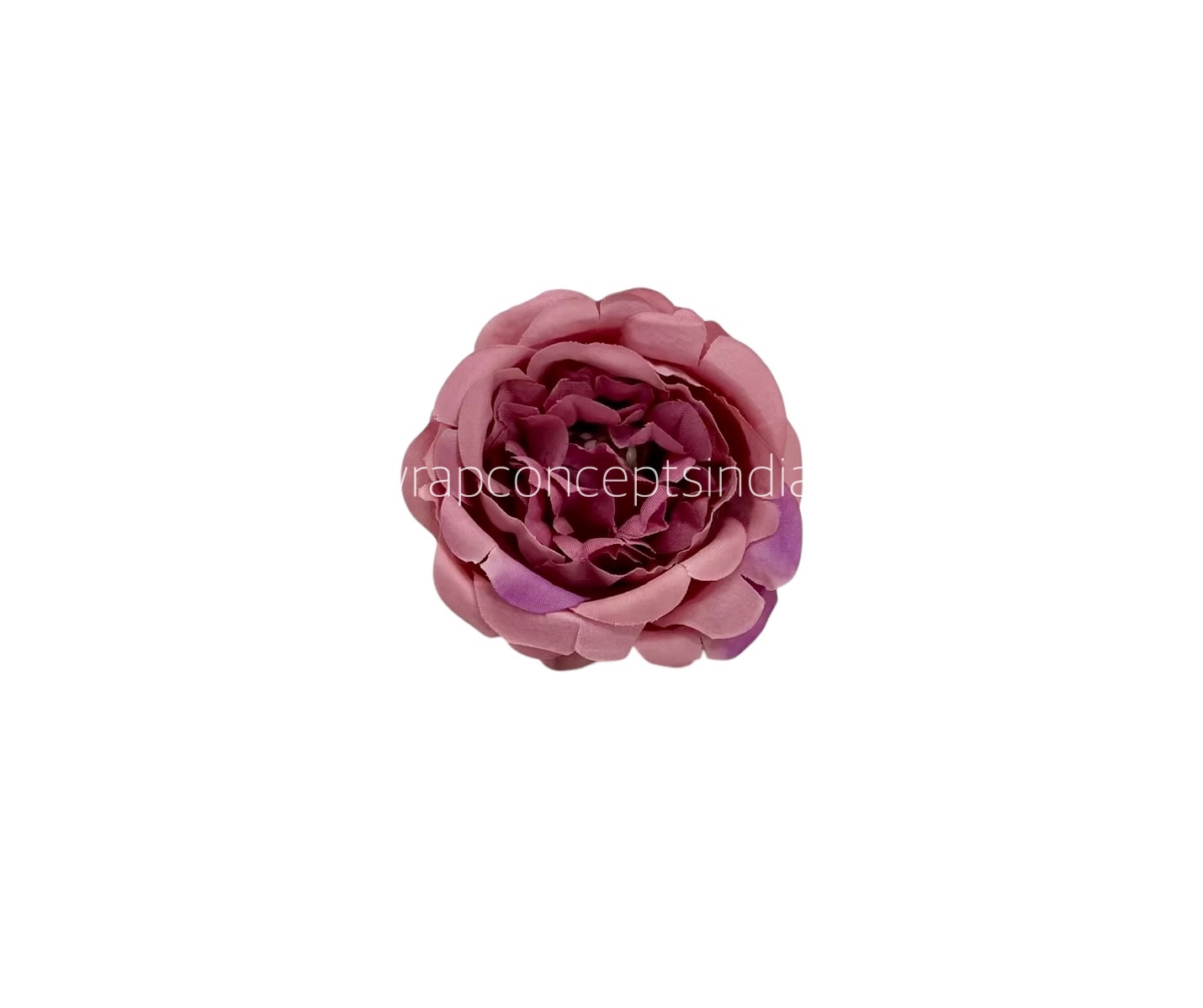 Candy Floss Small Ornate Peonies