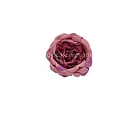 Candy Floss Small Ornate Peonies