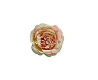 Peach Small Ornate Peonies