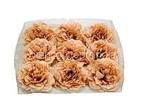 Magnolia Moutan Peony