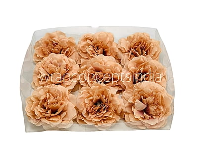 Magnolia Moutan Peony