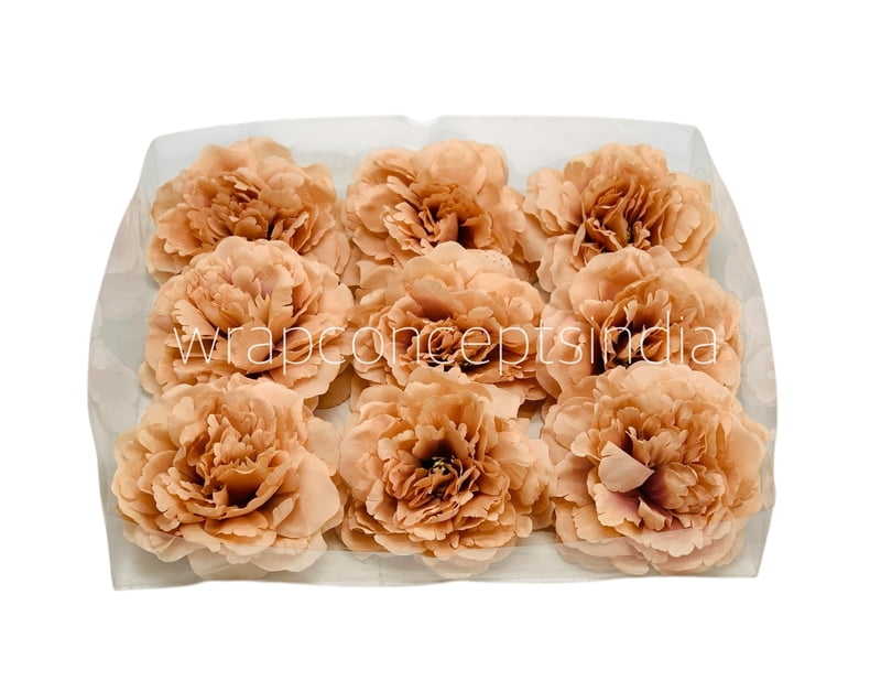 Magnolia Moutan Peony