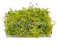 Yellow Floret Leaves