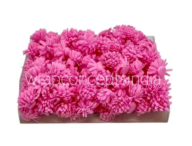 Pink Foam Carnation