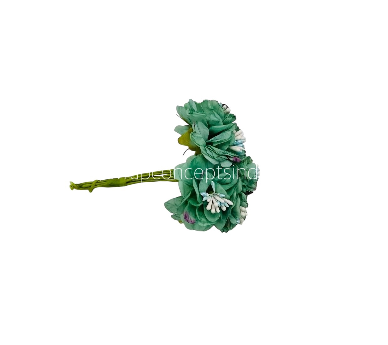 Jungle Green Windflower Jungle Green Windflower