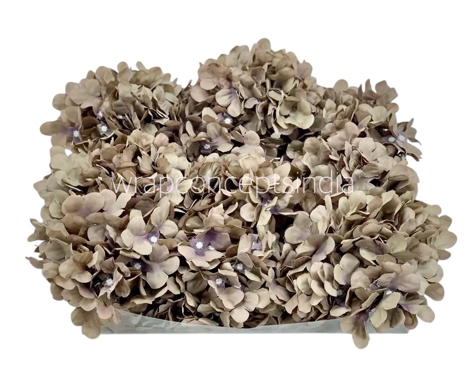 Ash Hydrangeas