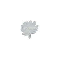 White Foam Carnation