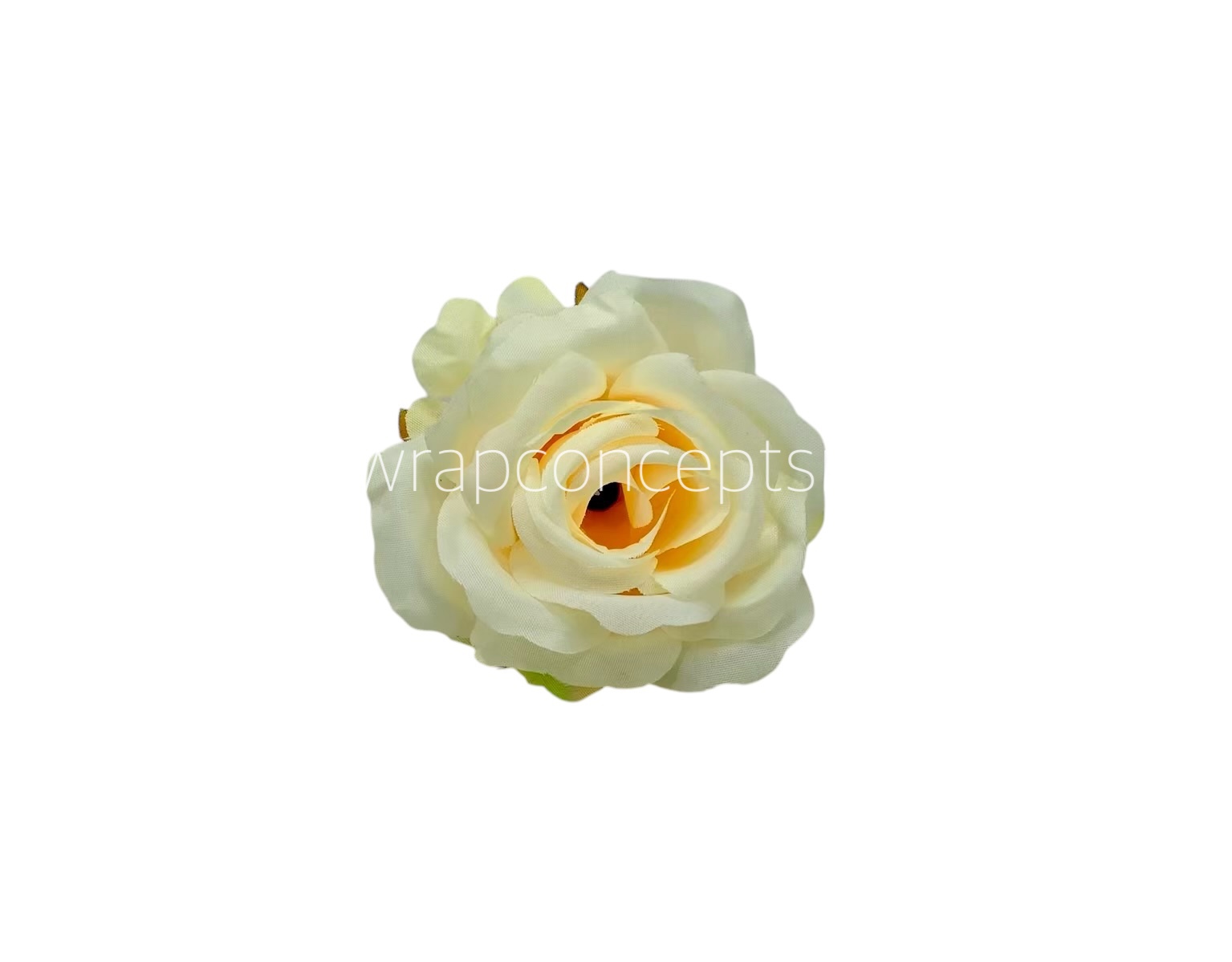 Rose Small – Lemon