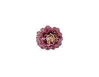 Dusky Mauve Small Dahlias