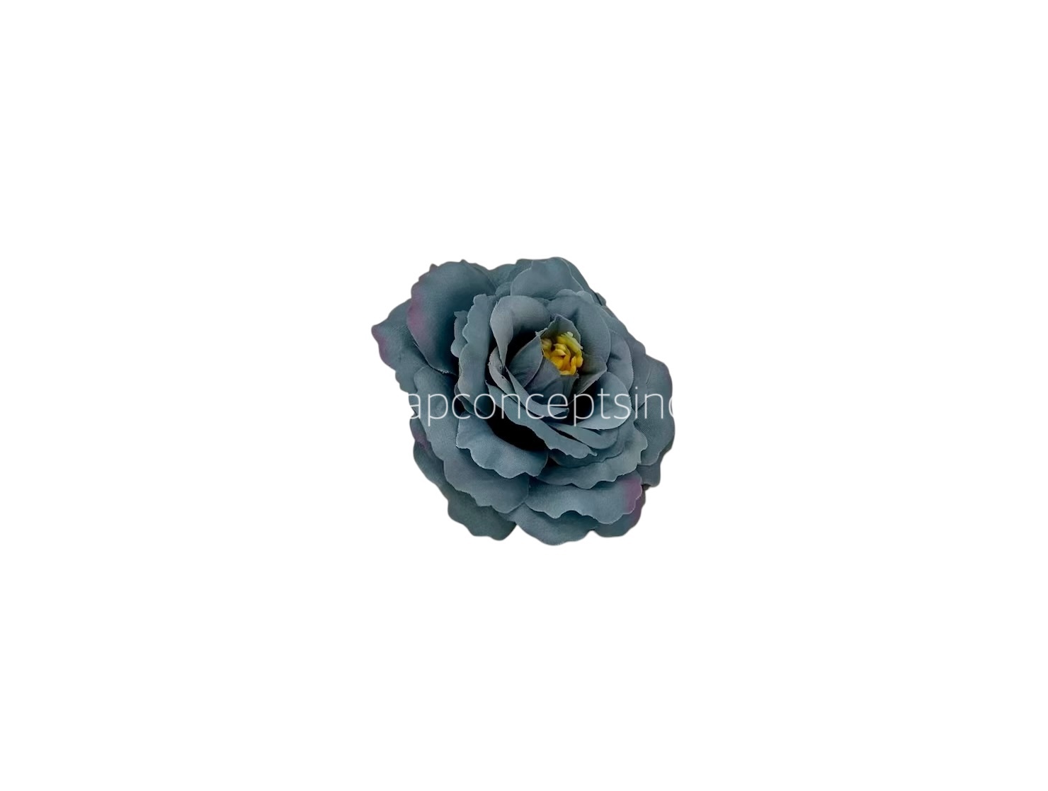 Oxford Grey Open Rose