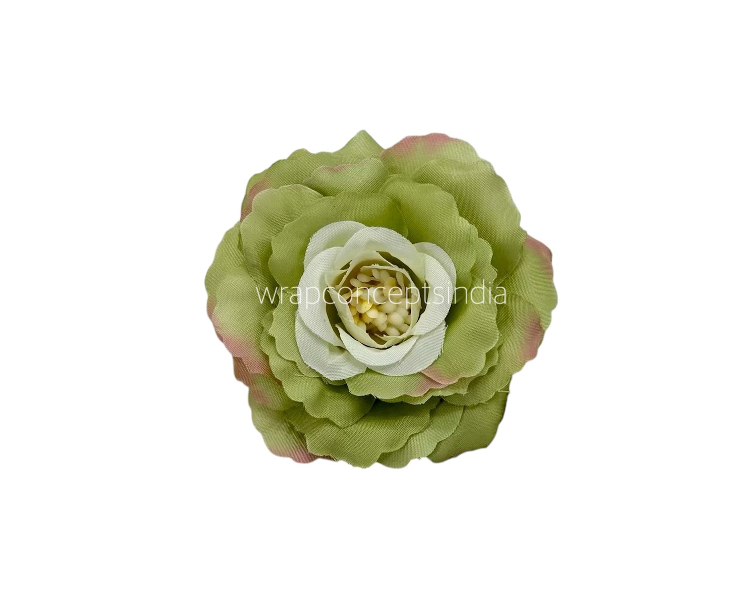 Green Open Rose
