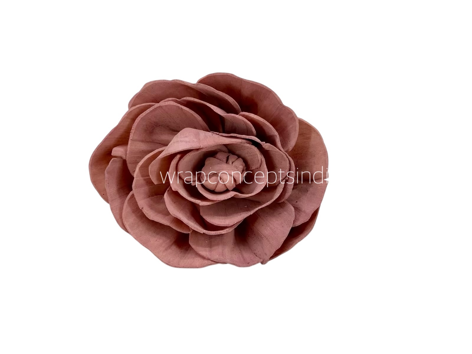 Blush Sola Wood Dear Holly