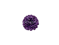 Dark Puple Green Carnation