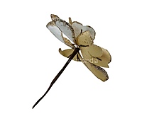 Metallic Texture & Velvet Flower