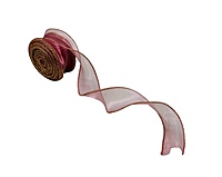 Sheer Ribbon with Gold Wired Edges