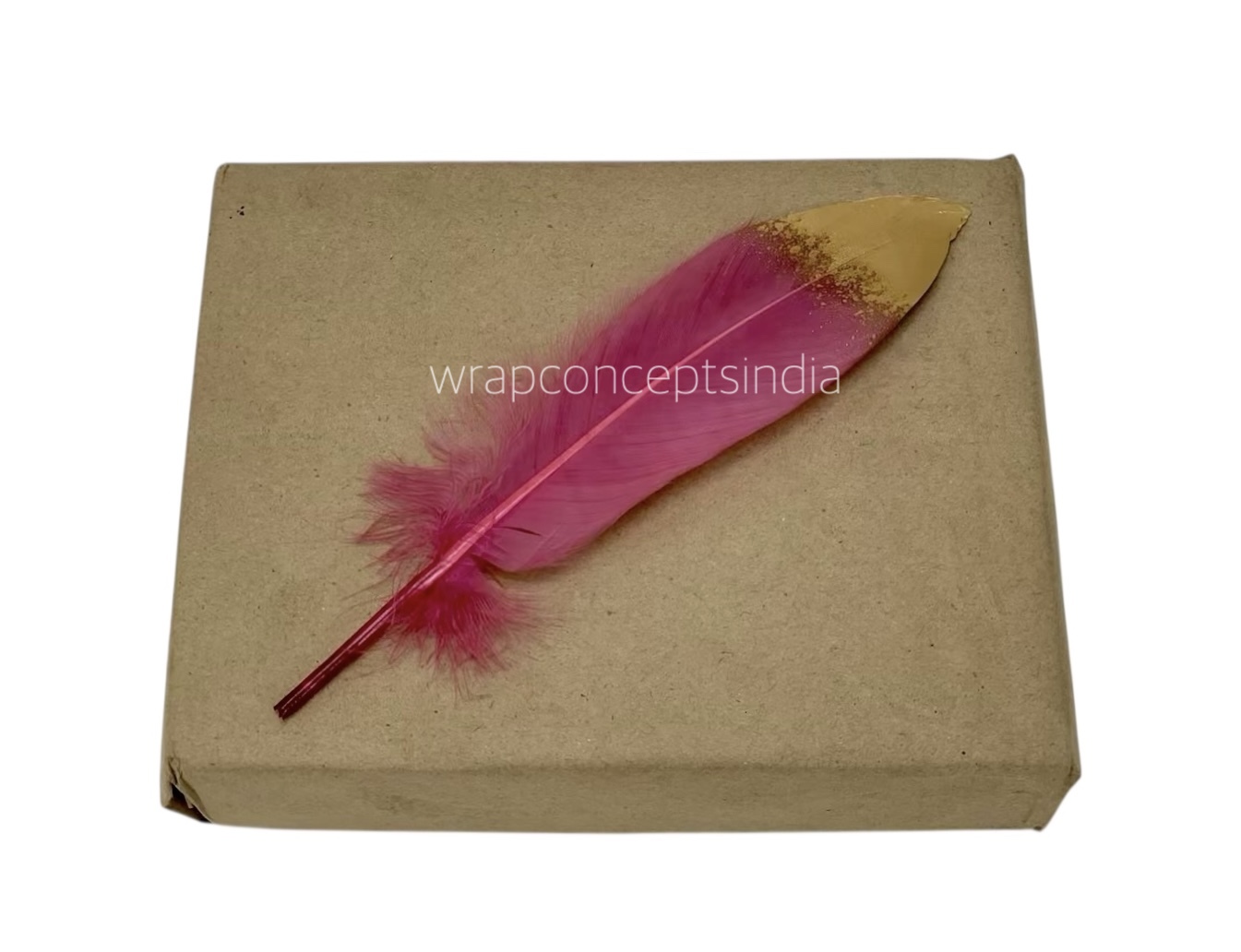 Faux Feather with Gold Edges