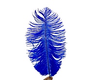 Faux Feather Rounded Edges-Brown