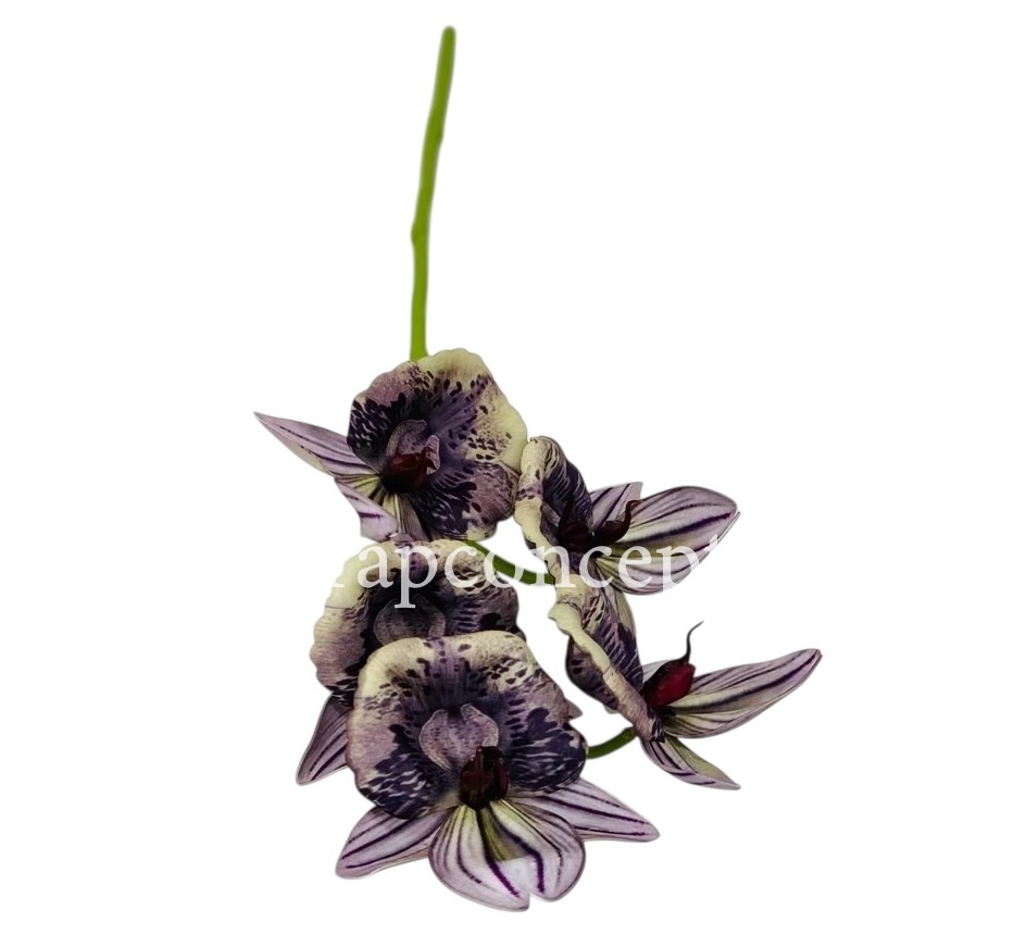 Orchid Sticks - Multicolor