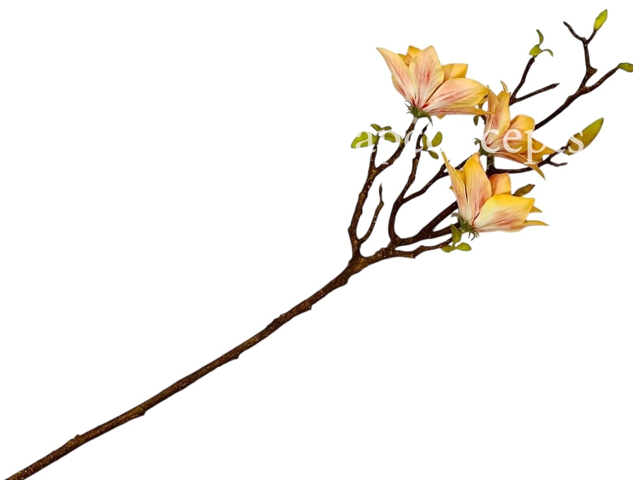 Copy of Orchid Sticks - Multicolor